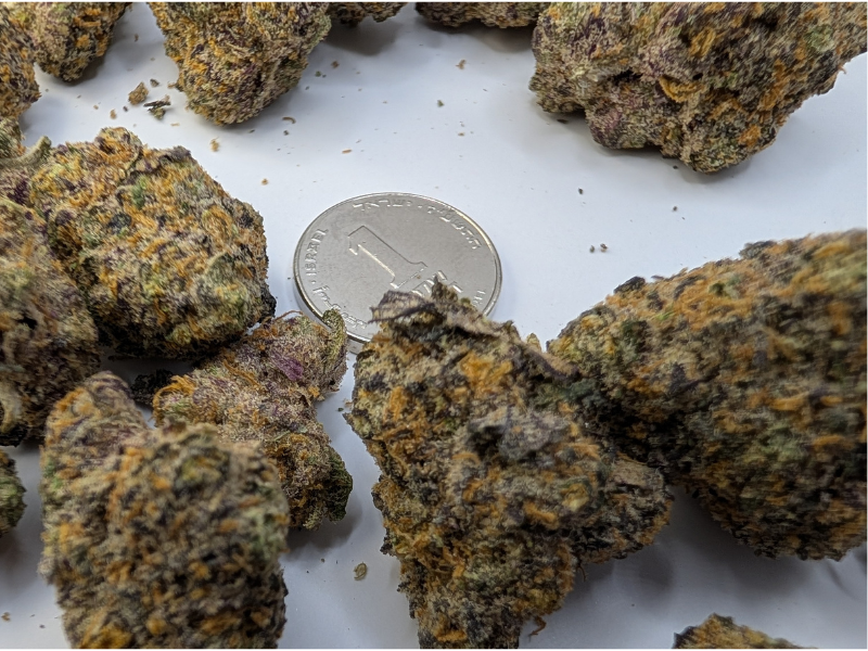 קנאביס רפואי תפרחת סולו אוניקס - T22/C4 - Solo Onix מדוקאן יום\לילה - היברידי