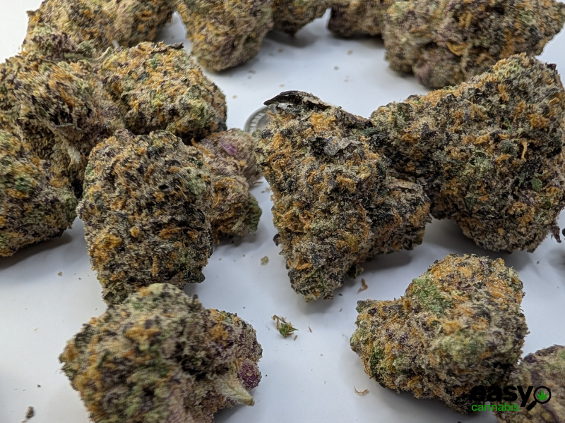 קנאביס רפואי תפרחת סולו אוניקס - T22/C4 - Solo Onix מדוקאן יום\לילה - היברידי