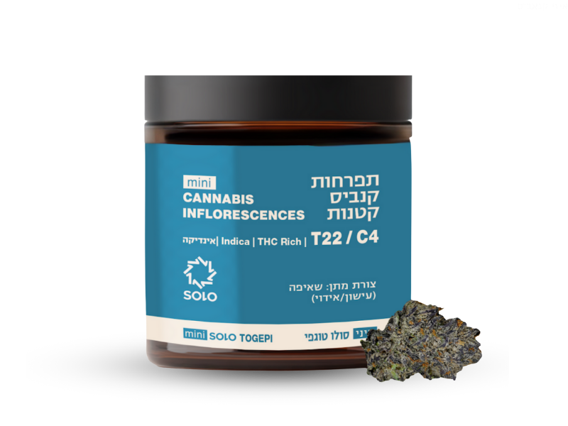 קנאביס רפואי תפרחת סולו טוגפי מיני - T22/C4 - Togepi Mini מדוקאן לילה - אינדיקה