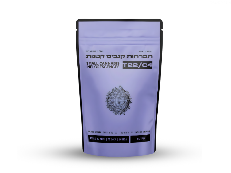 קנאביס רפואי תפרחת אסטרו 33 מיני - T22/C4 - Astro 33 Mini טוגדר פארמה לילה - אינדיקה