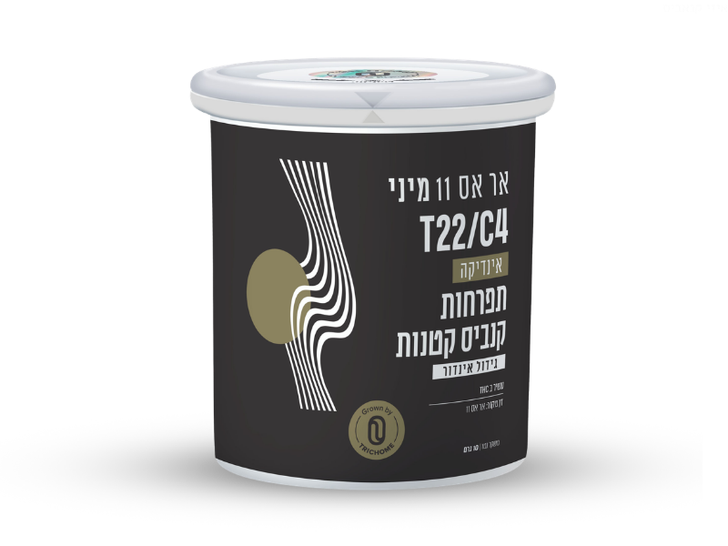 קנאביס רפואי תפרחת אר אס 11 מיני - T22/C4 - RS11 Mini טריכום לילה - אינדיקה