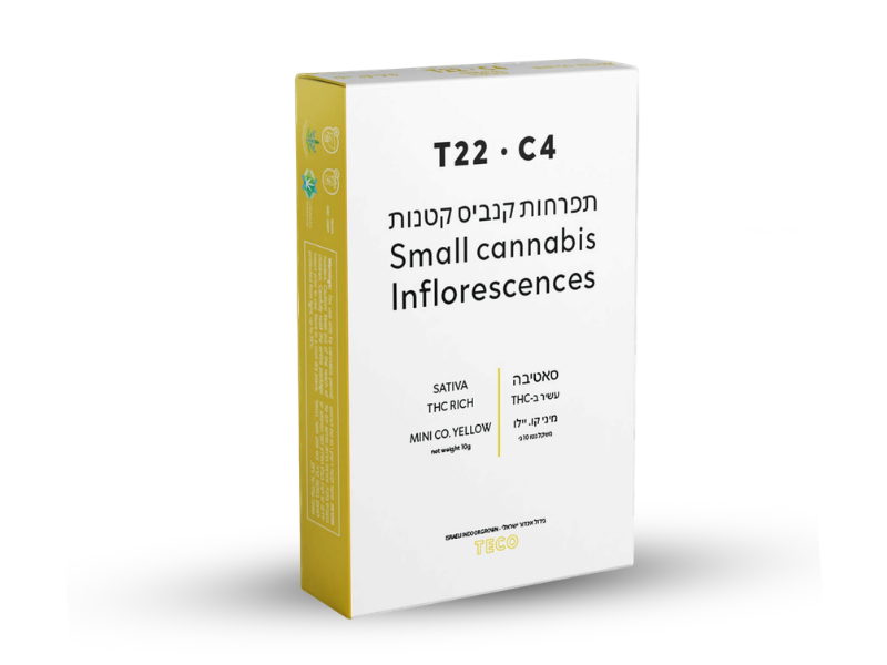 קנאביס רפואי תפרחת קו.יילו מיני - T22/C4 - TECO Mini Co.Yellow פלאנטק מדיקל יום - סאטיבה
