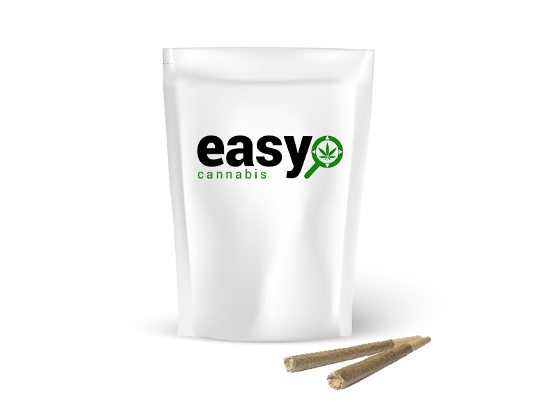 קנאביס רפואי תפרחת מדיין איי אל - T22/C4 - Medellin IL קנדוק יום - סאטיבה