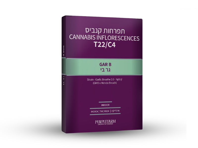 קנאביס רפואי תפרחת גאר בי - T22/C4 - Gar B קנדוק לילה - אינדיקה