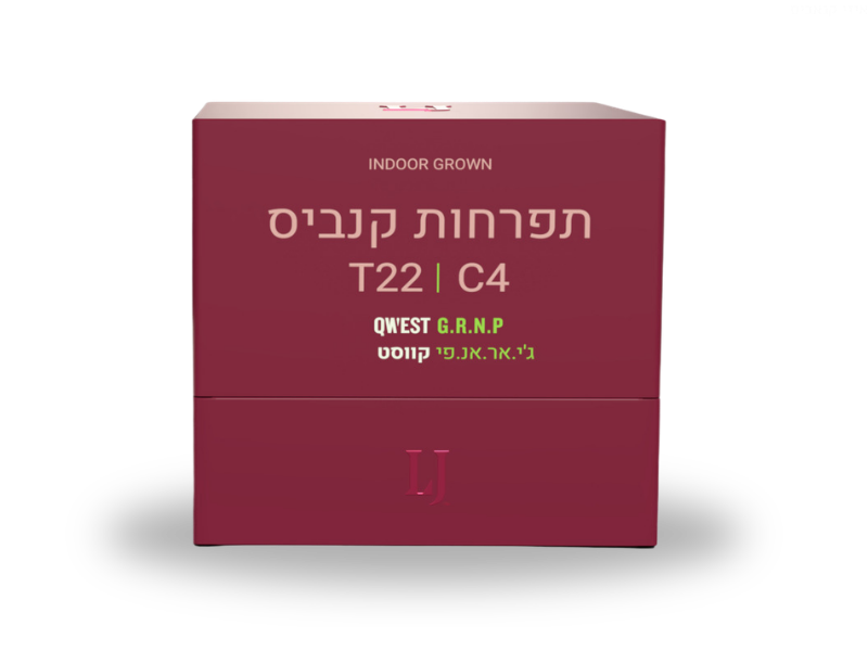 קנאביס רפואי תפרחת קווסט ג'י אר אנ פי - T22/C4 - QWEST GRNP קרונוס לילה - אינדיקה