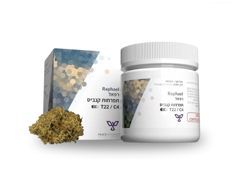קנאביס רפואי תפרחת רפאל - T22/C4 - Raphael פיס נטורלס לילה - אינדיקה