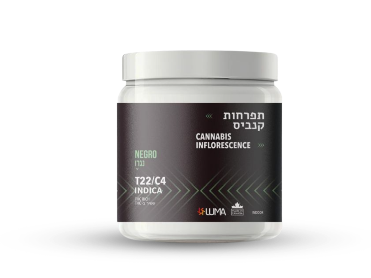 קנאביס רפואי תפרחת נגרו - T22/C4 - Negro קנטק לילה - אינדיקה