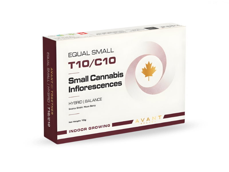 קנאביס רפואי תפרחת איקוול סמול - T10/C10 - Equal Small טוגדר פארמה יום\לילה - היברידי