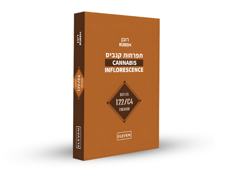 קנאביס רפואי תפרחת רובן - T22/C4 - RUBEN גרינמד יום - סאטיבה