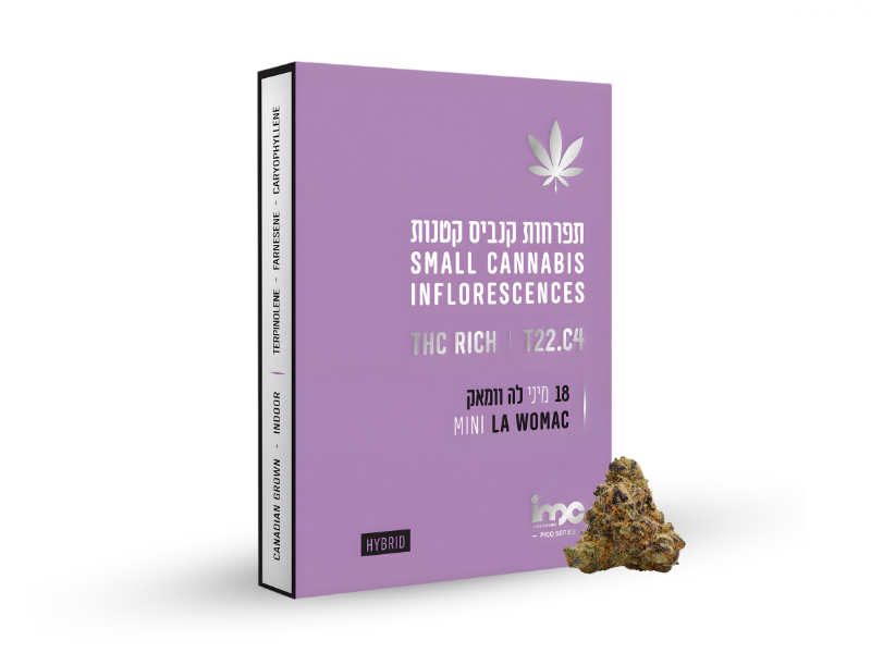 קנאביס רפואי תפרחת לה וומאק מיני - T22/C4 - LA Womac Mini איי.אמ.סי יום\לילה - היברידי