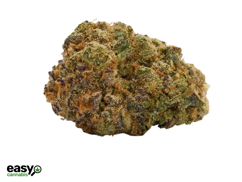 קנאביס רפואי תפרחת לה וומאק מיני - T22/C4 - LA Womac Mini איי.אמ.סי יום\לילה - היברידי