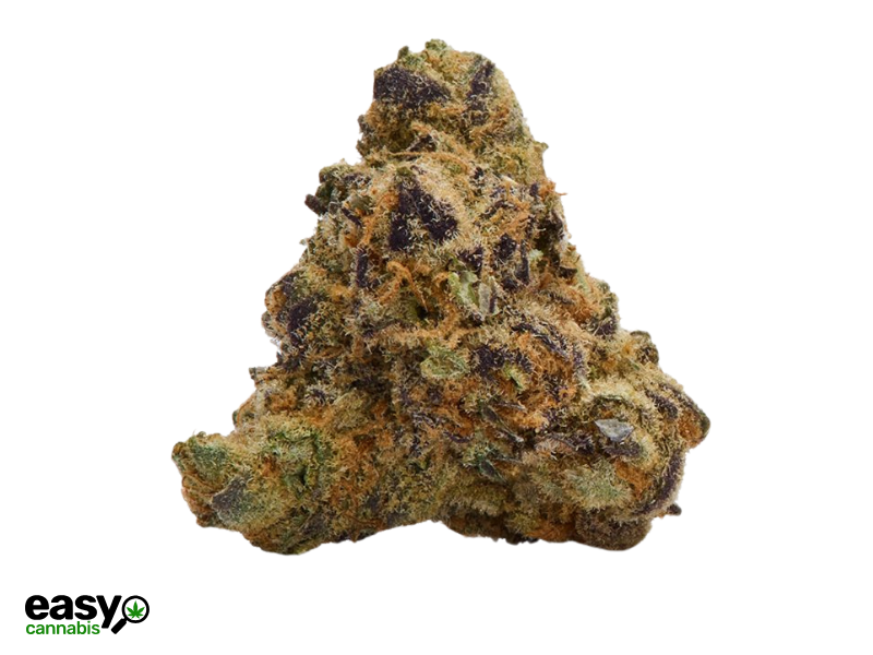 קנאביס רפואי תפרחת לה וומאק מיני - T22/C4 - LA Womac Mini איי.אמ.סי יום\לילה - היברידי