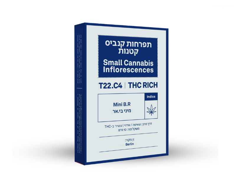 קנאביס רפואי תפרחת בי אר מיני - T22/C4 - BR Mini איי.אמ.סי לילה - אינדיקה