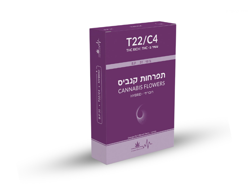 קנאביס רפואי תפרחת בי.פי 31 - T22/C4 - B.P 31 גרין שרה טרייד יום\לילה - היברידי