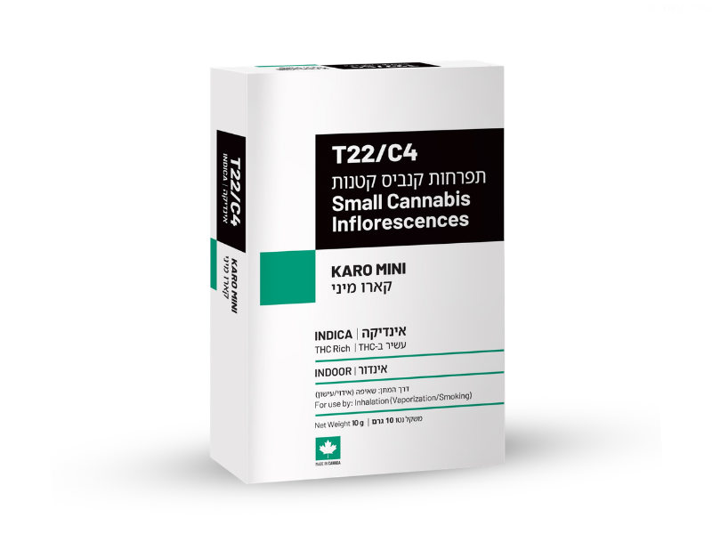 קנאביס רפואי תפרחת קארו מיני - T22/C4 - Karo Mini שיח מדיקל לילה - אינדיקה