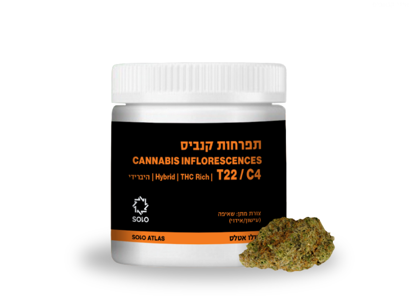 קנאביס רפואי תפרחת סולו אטלס - T22/C4 - SOLO Atlas מדוקאן יום\לילה - היברידי