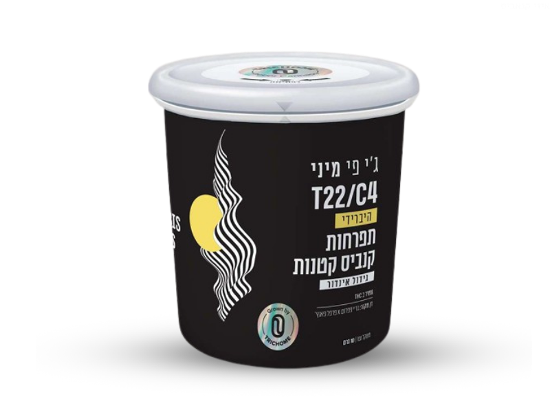 קנאביס רפואי פחית תפרחת ג'י פי מיני - T22/C4 - GP MINI טריכום יום\לילה - היברידי