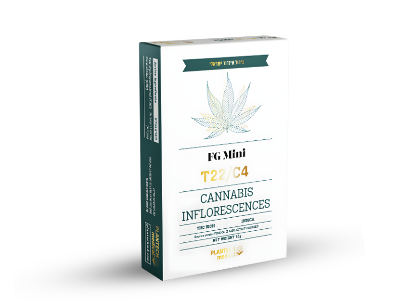 קנאביס רפואי תפרחת אף ג'י מיני  - T22/C4 - FG Mini פלאנטק מדיקל לילה - אינדיקה