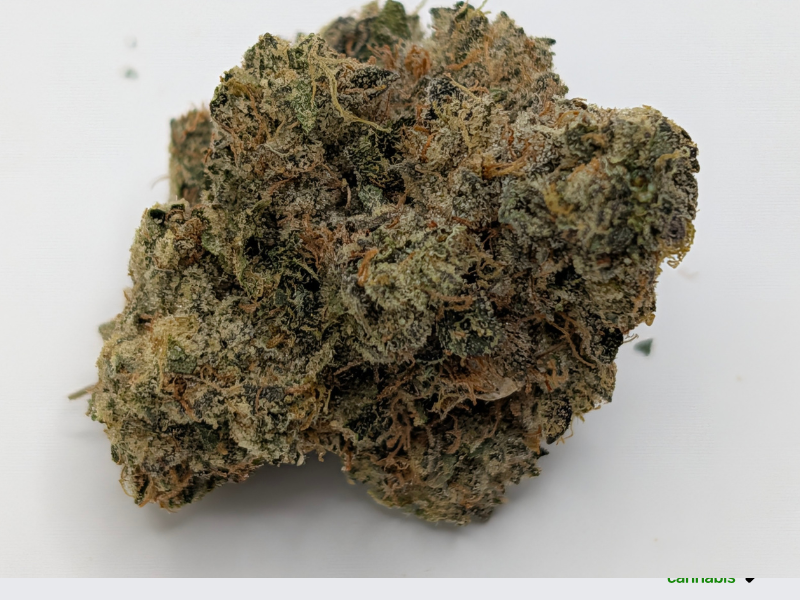 קנאביס רפואי תפרחת אף ג'י - T22/C4 - FG פלאנטק מדיקל לילה - אינדיקה