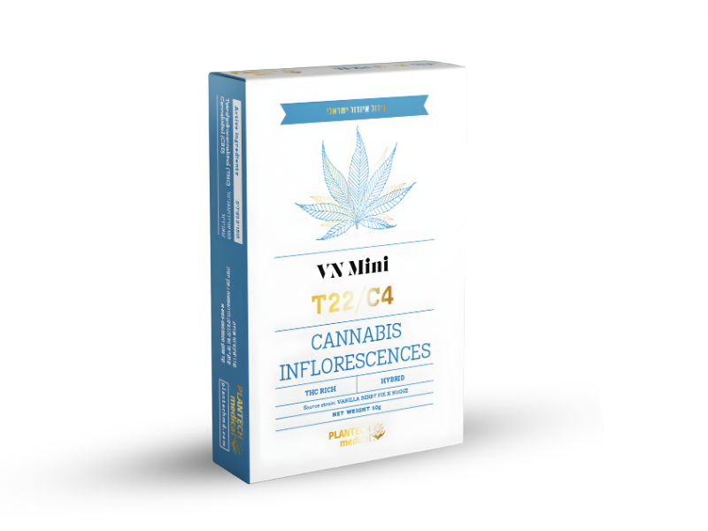 קנאביס רפואי תפרחת וי אן מיני  - T22/C4 - VN Mini פלאנטק מדיקל יום\לילה - היברידי