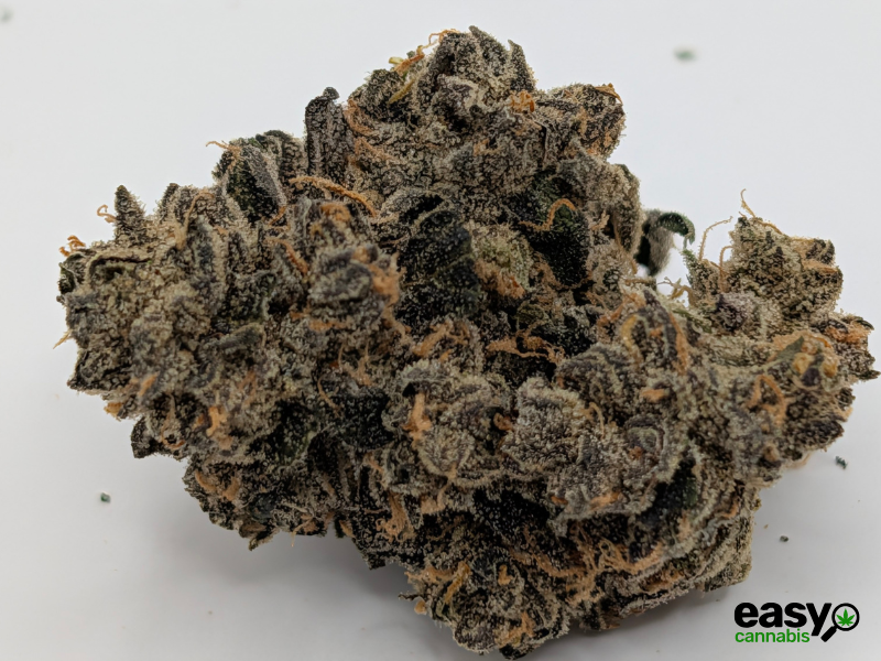 קנאביס רפואי תפרחת איי ג'יי (AJ) - T22/C4 - AJ פלאנטק מדיקל יום\לילה - היברידי