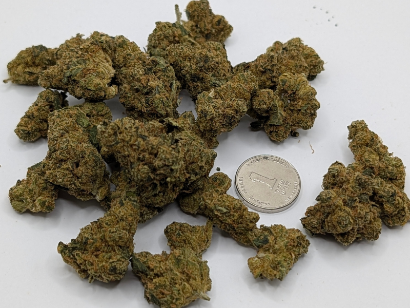 קנאביס רפואי תפרחת ספייס סי קי - T22/C4 - Space CK פיס נטורלס יום\לילה - היברידי