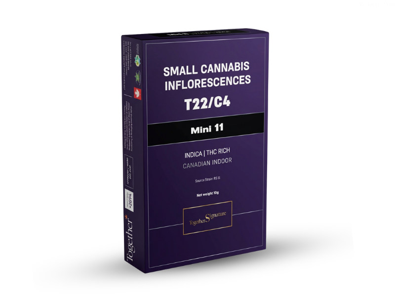 קנאביס רפואי תפרחת 11 מיני - T22/C4 - 11 Mini טוגדר פארמה לילה - אינדיקה