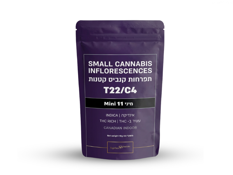 קנאביס רפואי תפרחת 11 מיני - T22/C4 - 11 Mini טוגדר פארמה לילה - אינדיקה
