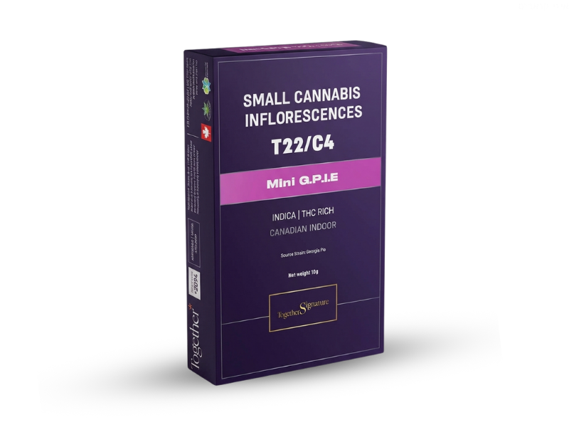 קנאביס רפואי תפרחת ג'י.פי.איי.אי מיני - T22/C4 - G.P.I.A Mini טוגדר פארמה לילה - אינדיקה