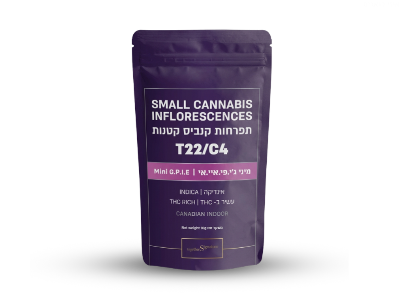 קנאביס רפואי תפרחת ג'י.פי.איי.אי מיני - T22/C4 - G.P.I.A Mini טוגדר פארמה לילה - אינדיקה