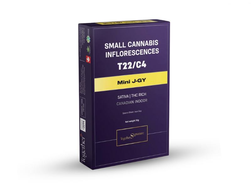 קנאביס רפואי תפרחת ג'יי-ג'י.וואי מיני - T22/C4 - J-GY Mini טוגדר פארמה יום - סאטיבה