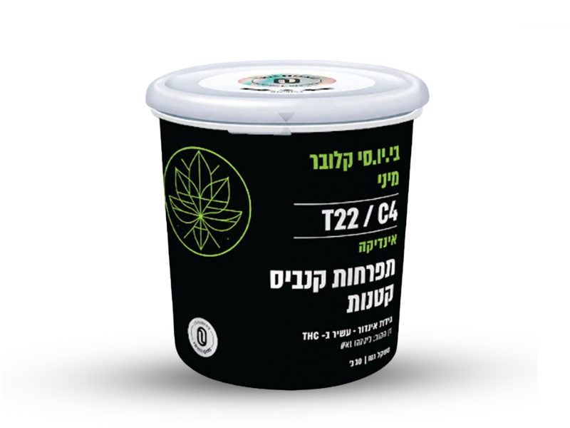 קנאביס רפואי תפרחת בי.יו.סי קלובר מיני - T22/C4 - B.U.C CLOVER MINI טריכום לילה - אינדיקה