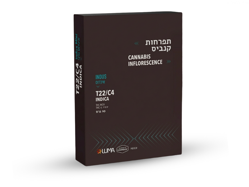 קנאביס רפואי תפרחת אינדוס מיני - T22/C4 - Indus Mini קנטק לילה - אינדיקה
