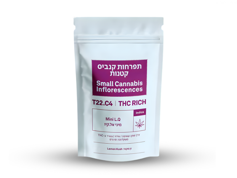 קנאביס רפואי תפרחת אל קיו מיני - T22/C4 - LQ Mini קנטק לילה - אינדיקה