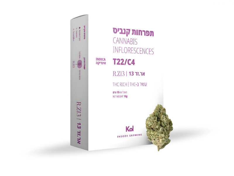 קנאביס רפואי תפרחת אר.זד 13 - T22/C4 - R.Z 13 קול מדיקל לילה - אינדיקה
