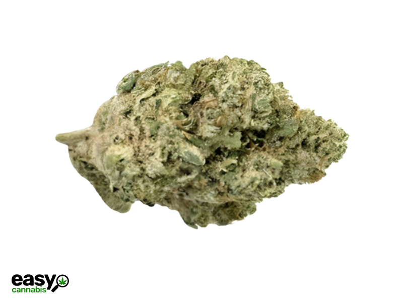 קנאביס רפואי תפרחת אר.זד 13 - T22/C4 - R.Z 13 קול מדיקל לילה - אינדיקה