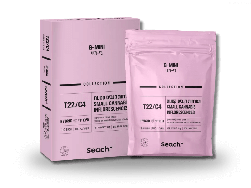 קנאביס רפואי תפרחת ג'י מיני - T22/C4 - G Mini שיח מדיקל יום\לילה - היברידי