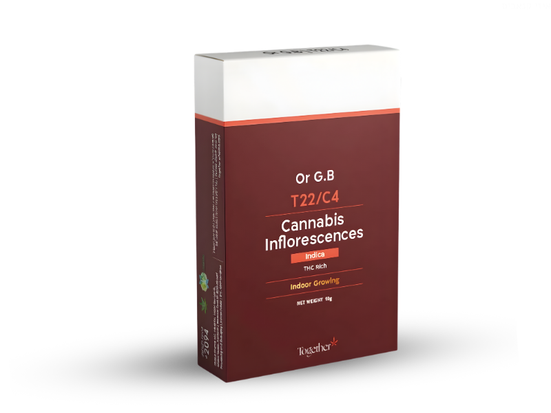 קנאביס רפואי תפרחת אור ג'י.בי - T22/C4 - Or G.B טוגדר פארמה לילה - אינדיקה