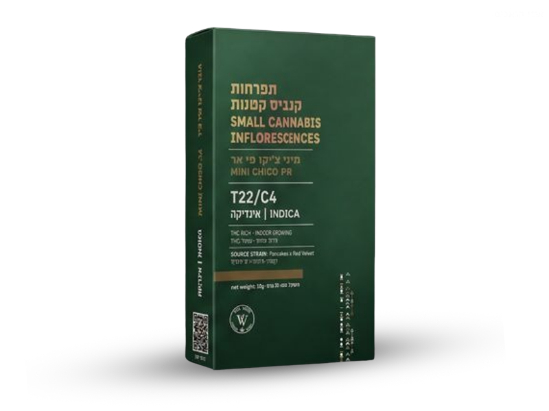 קנאביס רפואי תפרחת פי אר צ'יקו מיני - T22/C4 - PR Chico Mini ויטה ורדה לילה - אינדיקה