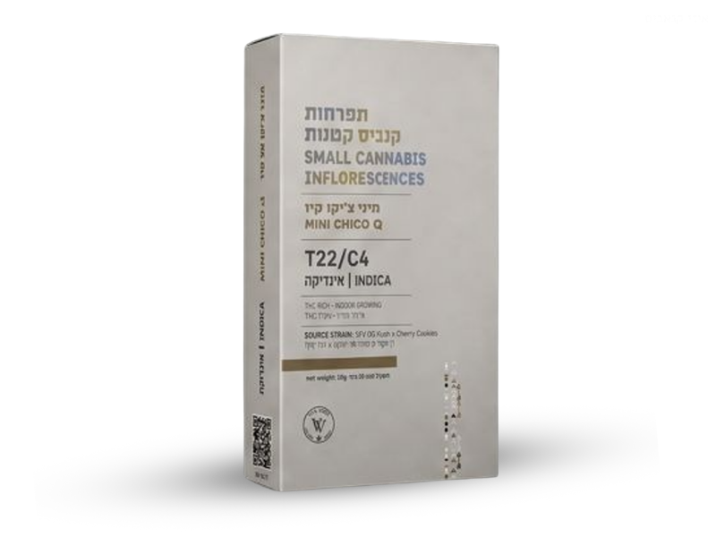 קנאביס רפואי תפרחת קיו צ'יקו מיני - T22/C4 - Q Chico Mini ויטה ורדה לילה - אינדיקה