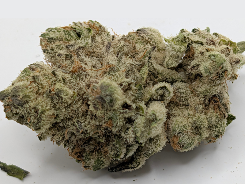 קנאביס רפואי תפרחת ג'לטיקס - T22/C4 - Gelatix גרינקום יום - סאטיבה