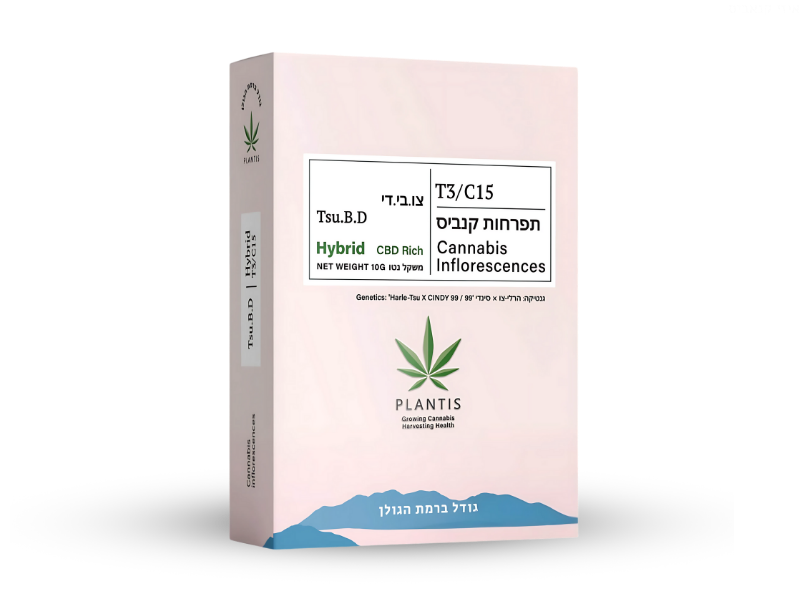 קנאביס רפואי תפרחת צו.בי.די - T3/C15 - Amsterdam פלאנטיס יום\לילה - היברידי