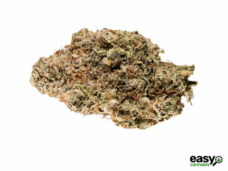 קנאביס רפואי תפרחת כריס אם - T22/C4 - Cris M פיס נטורלס לילה - אינדיקה