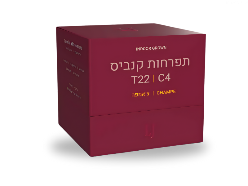 קנאביס רפואי תפרחת צ'אמפה - T22/C4 - Champe פיס נטורלס לילה - אינדיקה