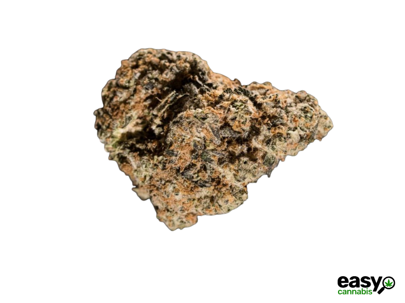 קנאביס רפואי תפרחת צ'אמפה - T22/C4 - Champe פיס נטורלס לילה - אינדיקה