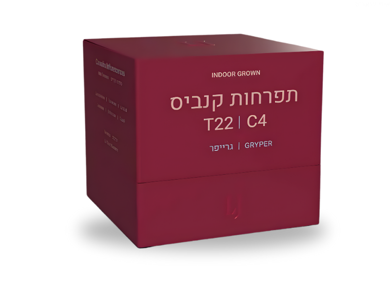 קנאביס רפואי תפרחת גרייפר - T22/C4 - Gryper פיס נטורלס לילה - אינדיקה