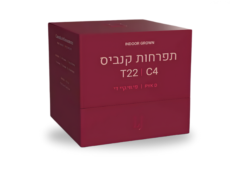 קנאביס רפואי תפרחת פי.ווי.קי די - T22/C4 - PYK D פיס נטורלס יום - סאטיבה