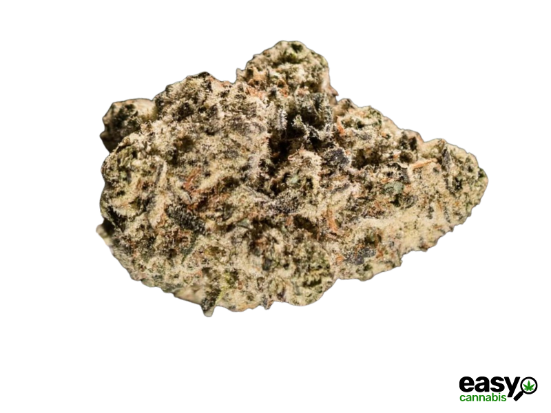 קנאביס רפואי תפרחת פי.ווי.קי די - T22/C4 - PYK D פיס נטורלס יום - סאטיבה