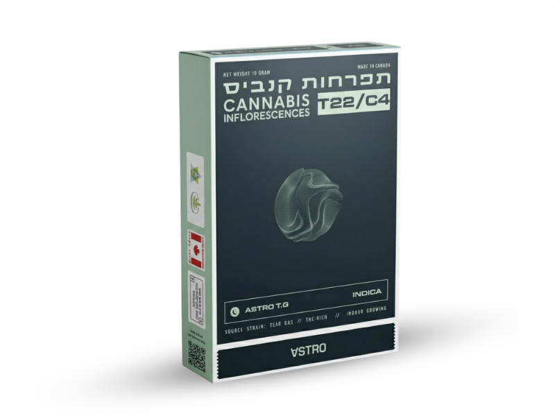 קנאביס רפואי תפרחת אסטרו טי ג'י  - T22/C4 - ASTRO T.G טוגדר פארמה לילה - אינדיקה