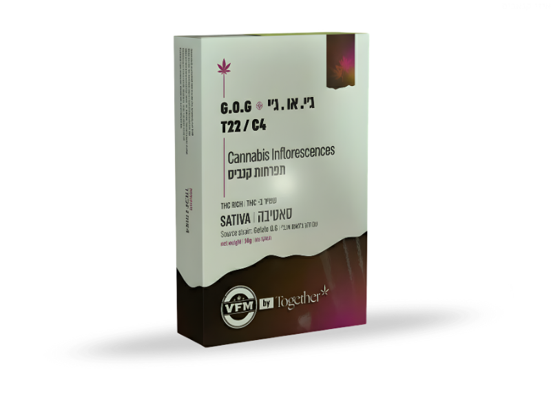 קנאביס רפואי תפרחת ג'י.או.ג'י - T22/C4 - G.O.G טוגדר פארמה יום - סאטיבה